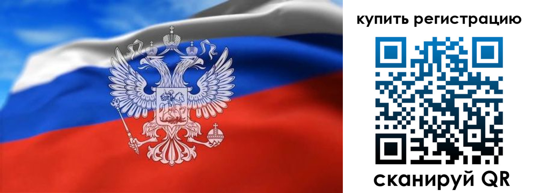 прописка законно в Палласовке